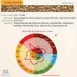 Malte Pale Ale Weyermann - Saca 25 Kg