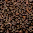 Saca 25 Kg de Malte Carafa I Weyermann