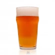 Kit Insumos para produção de 60 litros da cerveja APA Cascade
