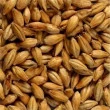 Saca de 25kg de Malte Munique Agraria