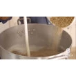 Curso Cervejeiro Online