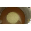 Curso Cervejeiro Online