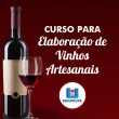Curso para Elaboração de Vinhos Artesanais - 23/11/2024
