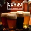 Curso Off-Flavor e Análise Sensorial de Cervejas.