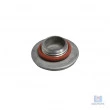 Plug Inox Flangeado Rosca 1/2