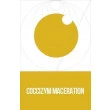 Enzima Maceração Coccizym Maceration 25gr