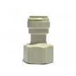Dmfit Conexão Tubo 3/8" x BSP 1/2" Fêmea