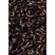 Malte Coffee - Kg