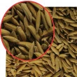 Malte de Arroz - Kg