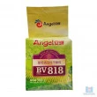 Levedura Angel Yeast BV818 - Pct 500 gr