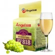 Levedura Angel Yeast BV818 - Pct 500 gr