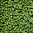 Lúpulo Lubliner - 50 gr