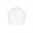 Plug PVC Roscável 3/4" BSP