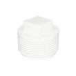 Plug PVC Roscável 1" BSP