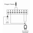 Controlador Termostato T7D -115/230v